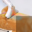 6358 | 디클 원샷클린 물흡입 습식 침구 청소기 DWV6358 리뷰와 추천