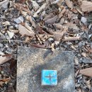 봉래초 거운분교장 이미지