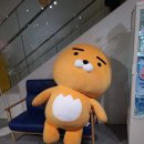 프랜즈샵 이미지