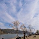 화도로53번길 8 | 남양주 화도 오리덕 애견동반 맛집 솔직후기 (서울 근교 오리고기)