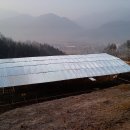 용포농장 이미지