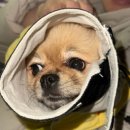 락휴 코인노래연습장 계산역점 | 일상로그 (25.12.15 ~ 12.21)