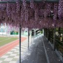 상인초등학교 이미지