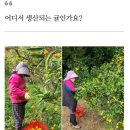 하예동-10 이미지