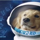 안중온누리약국 이미지