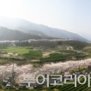 섬진강 투어코리아