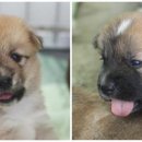 사남매농장 이미지