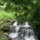 상관편백숲길 이미지