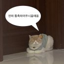 주영에이스빌3차 | 2월은 사랑의 계절