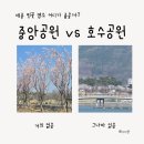 연기면_세종중앙공원(중앙)공터 | 세종 벚꽃 어디가 좋을까 중앙공원 vs 호수공원 현실 비교