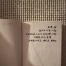 연원컴퍼니 | Dream * 꿈을 꾸다