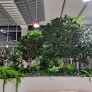 교원반점 이미지