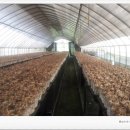 미루농장 이미지