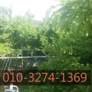 안곡농장 이미지