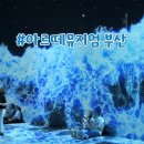 부산 놀거리 : 실내에서 쾌적하게 전시회 관람하기 좋은 &#39;영도 아르떼뮤지엄&#39; (예매 및 할인 / 데이트...