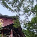 침점1마을회관 | 《명사찰 탐방》 천년기념물 백악기 공룡발자국을 화석을 가진 고성 <금태산 계승사>