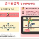 넘버원유학센터울산 네이버블로그