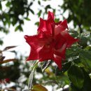 한밭수목원 서원 이미지