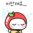 비타과일