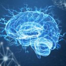 브레인 블루투스 이미지