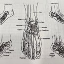 누리담한의원 이미지
