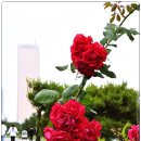 나루빌딩 이미지