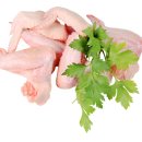 참조은유통 이미지
