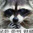 가자 이미지