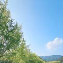 아빠의나무민박 이미지