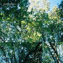 이상순 / 완벽한 하루 (원key F#) mr 이미지