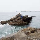 서천소방서-11 이미지