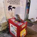 알파게임랜드 이미지