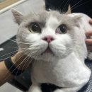 수원-1453 네이버블로그