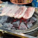 토성관광주