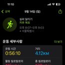 운동메이트 이미지