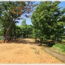 에코바른정형외과의원 이미지