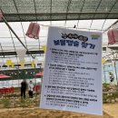 성주축산 | 성주 메뚜기 축제 2025 일정, 위치, 주차부터 현장 후기까지! 아이랑 즐기기 좋은 대구 근교 가을축제