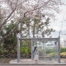 예래동-4 이미지