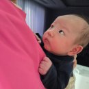 (주)애그리캠 | [육아 D+17~ 산후관리사님과 함께]