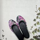 꽃신 구절초 이미지