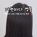 씨유신동