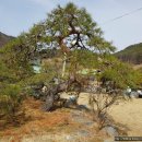 구암동387 이미지