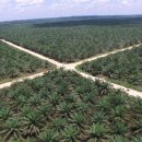 농림상사 이미지