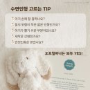 메리베어