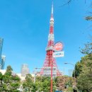 조이폴리스게임센터 | 일본 도쿄 여행 코스 5박 6일 여행 일정 디즈니랜드 포함 경비 총정리