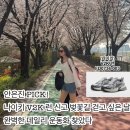 운동화빨래방슈즈쿨 | 안은진 V2K 런 퓨어 플래티넘 그레이 완벽한 데일리 운동화 신고 벚꽃 보러 가고 싶어!