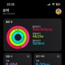 타임스탬프 - 117835 | 타임스탬프
