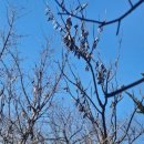 성남은행초등학교 이미지