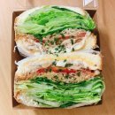 샌디샐리 이미지