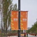 서울식물원 어린이정원학교 화장실 네이버블로그